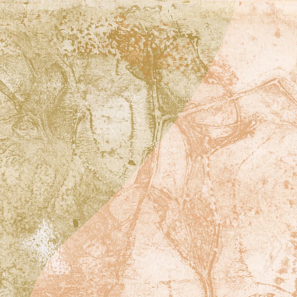 Earthy Abstract Textures by Dina Dankers — canvas wall art