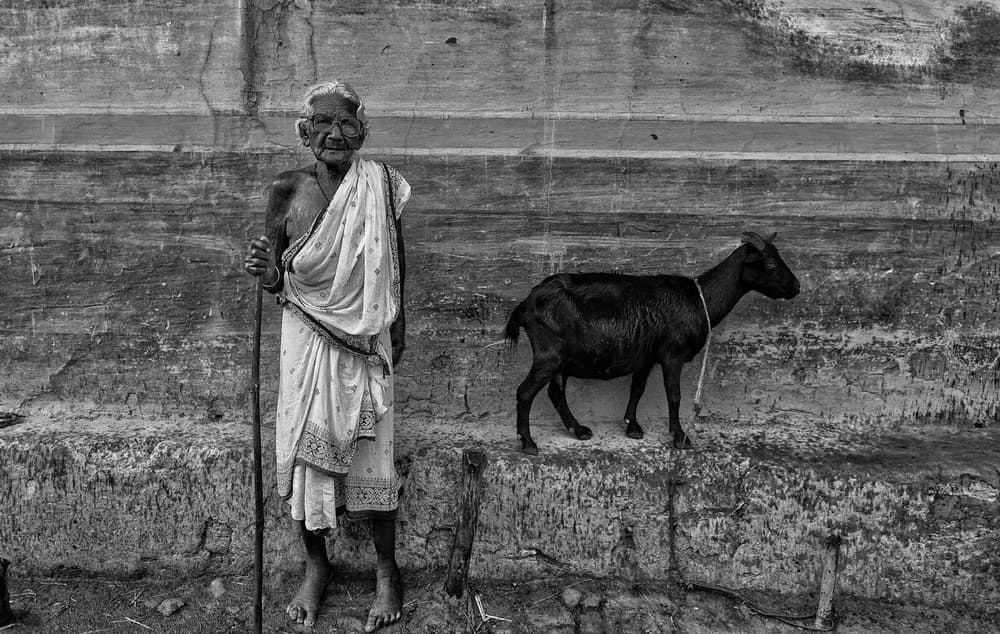 Street Elder with Goat by Avishek Das — canvas wall art