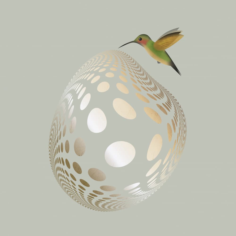 Hummingbird Golden Form by Angelo Cerantola — canvas wall art