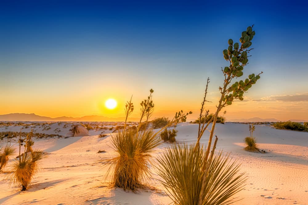 White Sands Sunset by Melanie Viola — canvas wall art