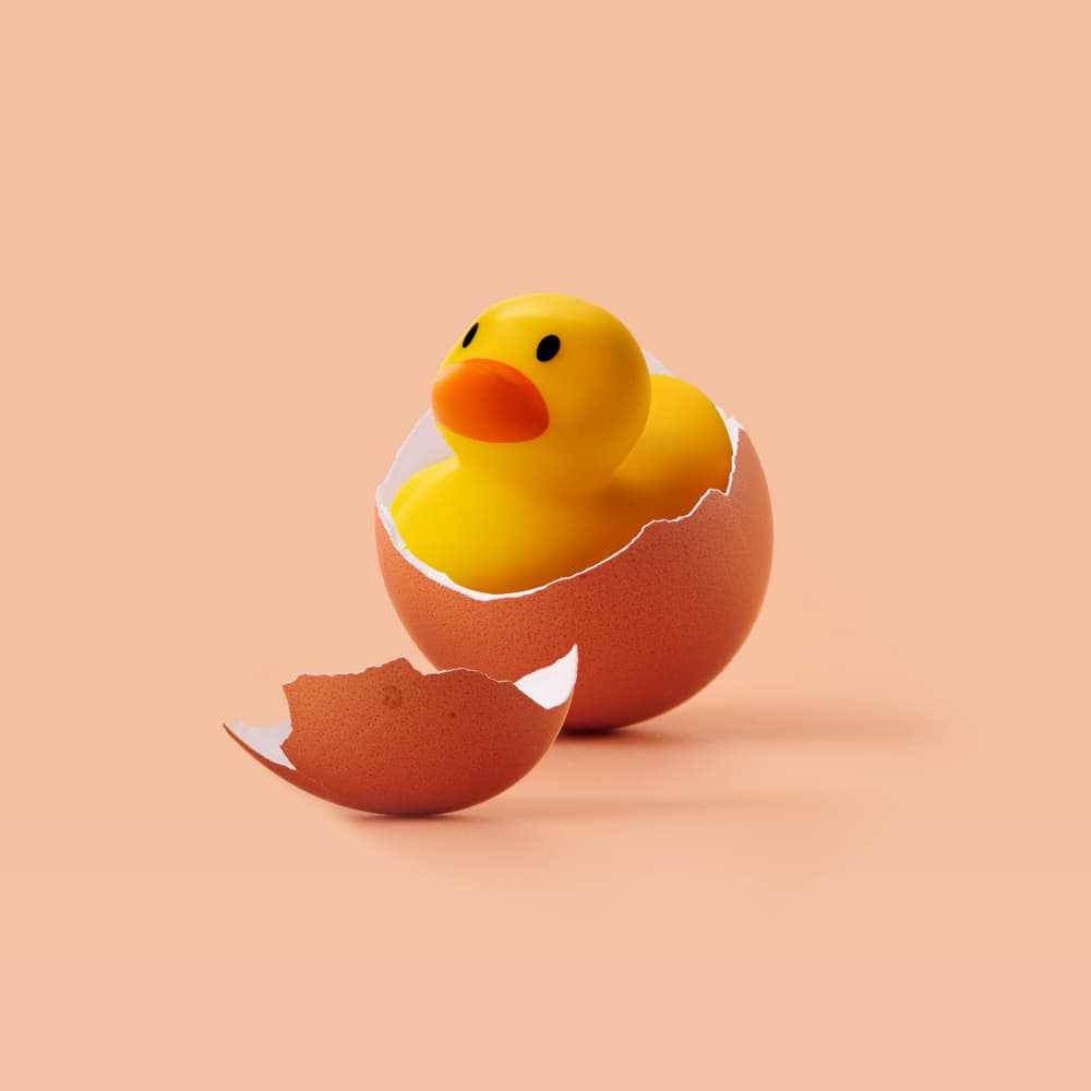 Cute Duck Hatching by Artem Pozdniakov — canvas wall art