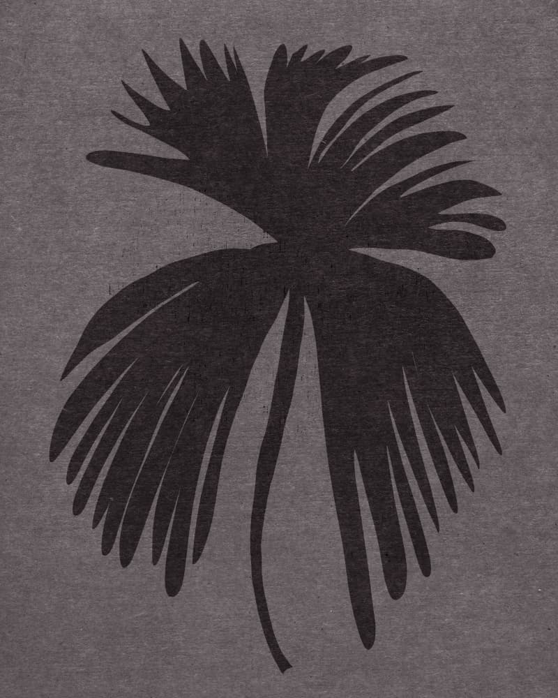 Dark Palm Leaf by Josie George — canvas wall art
