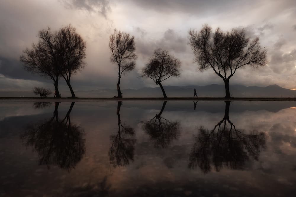 Moody Lakeside Reflection by Ali Ayer — canvas wall art