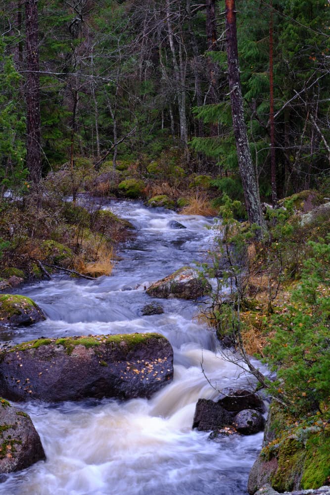 Wild water stream by Geertjan Plooijer — canvas wall art