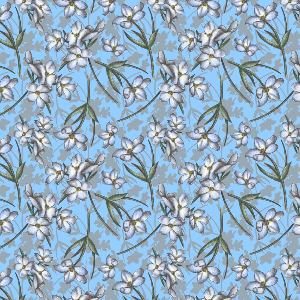 Delicate White Blooms by Cecilia Battaini — canvas wall art