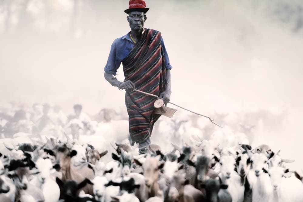 African Shepherd Red Hat by Trevor Cole — canvas wall art
