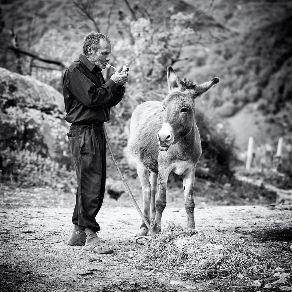 Rustic Man and Donkey by Marcel Rebro — canvas wall art