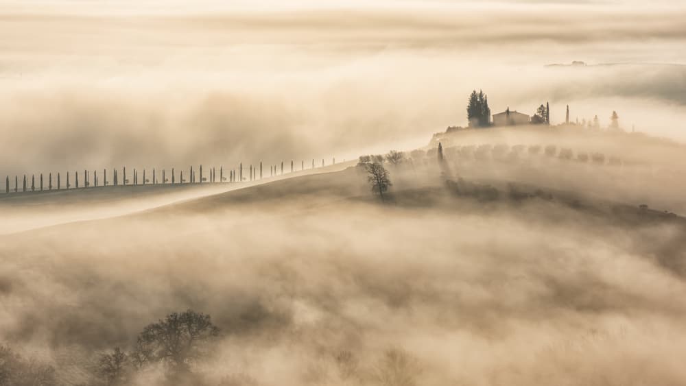 Misty Tuscan Hills by Luca Domenichi — canvas wall art
