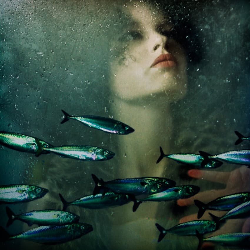 Woman's Aquatic Dream by ambra — canvas wall art