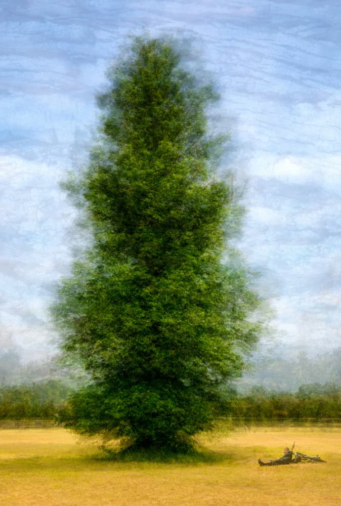 Dreamy Tree Rest by Fiorenzo Carozzi — canvas wall art