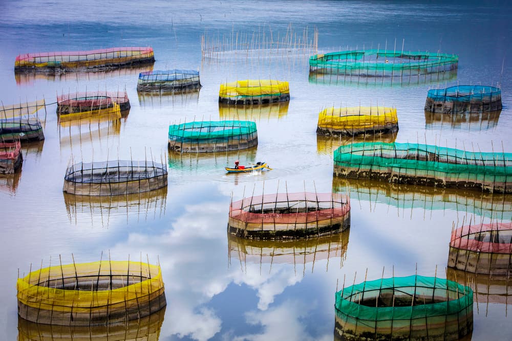 Colorful Floating Farms by Shin Woo Ryu — canvas wall art