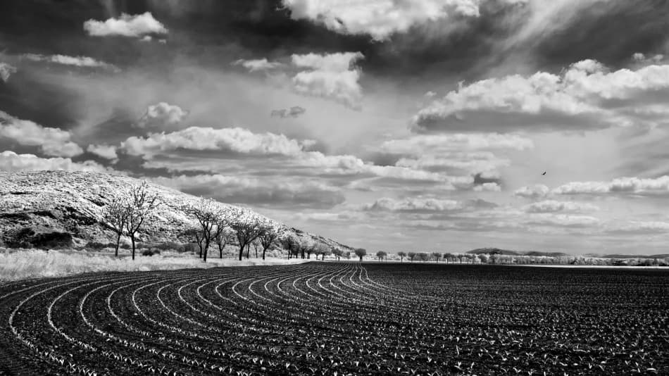 Curved Field Under Clouds by Marcel Rebro — canvas wall art