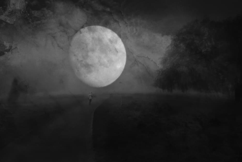 Moonlit Solitary Journey by Robert Fabrowski — canvas wall art