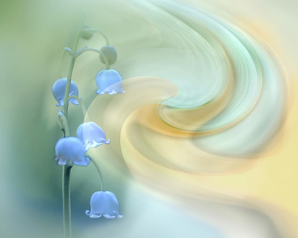 Soft Blue Flowers by Ylva Sjögren — canvas wall art