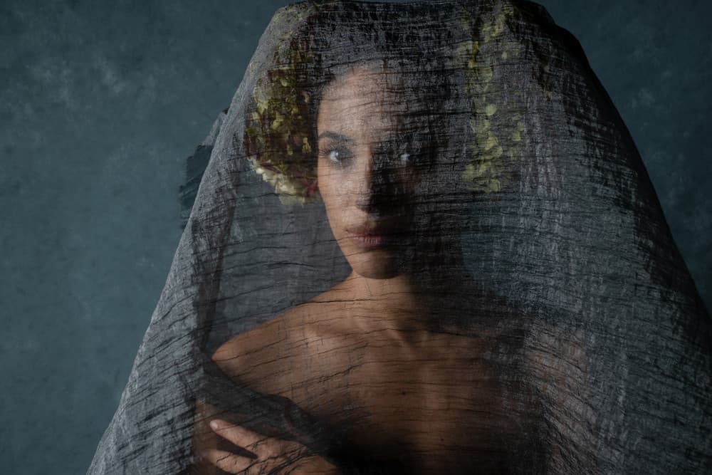 Mysterious Veiled Woman by Joan Gil Raga — canvas wall art