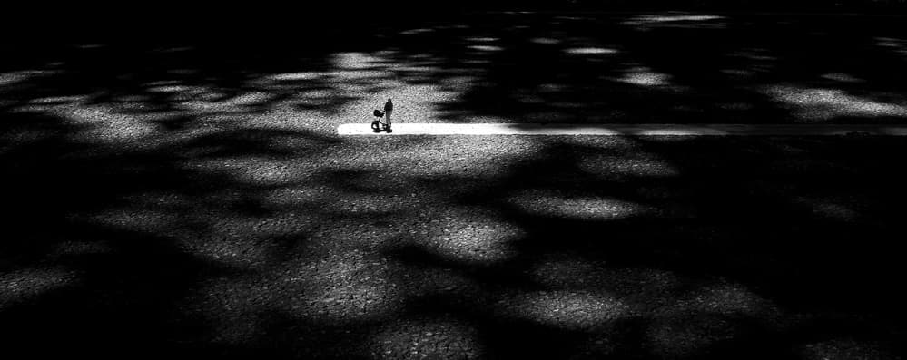Light and Shadow Path by Huib Limberg — canvas wall art