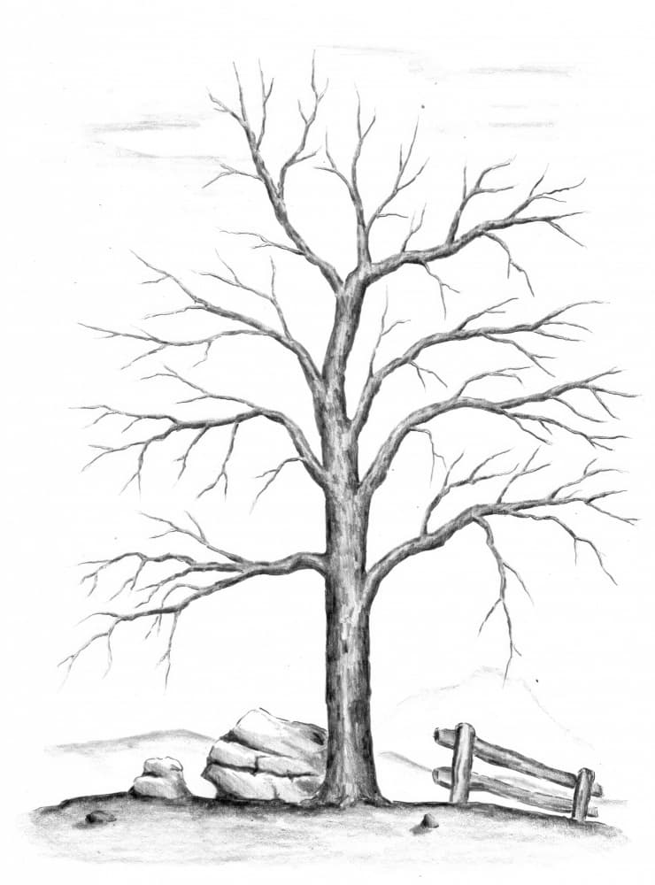 Bare Winter Tree by Kulik — canvas wall art