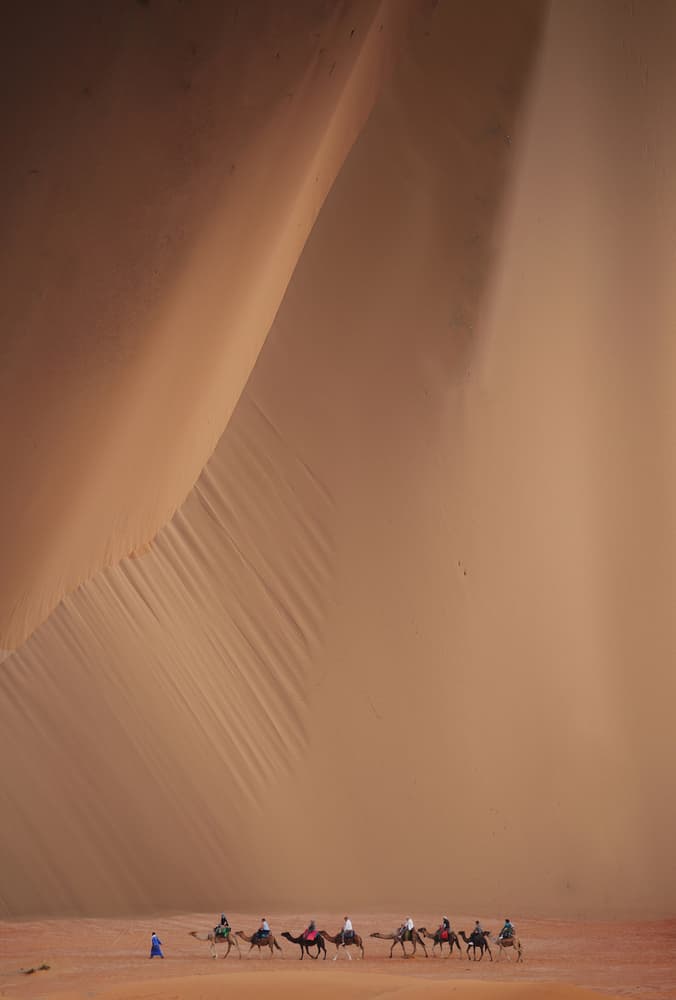 Desert Camel Caravan by Clas Gustafson PRO — canvas wall art