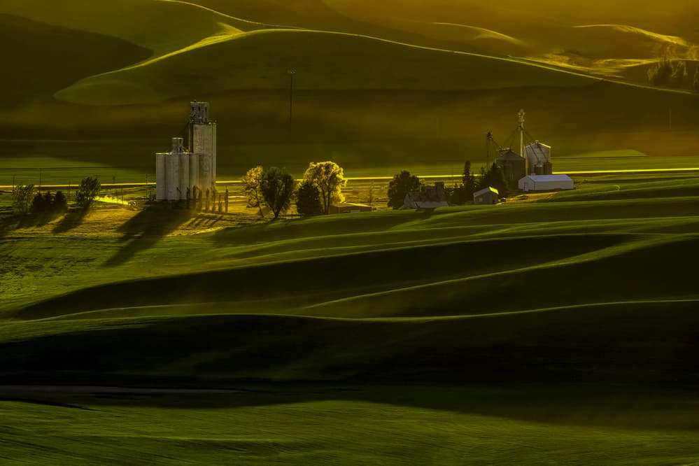 Golden Hour Farm Landscape by Lydia Jacobs — canvas wall art