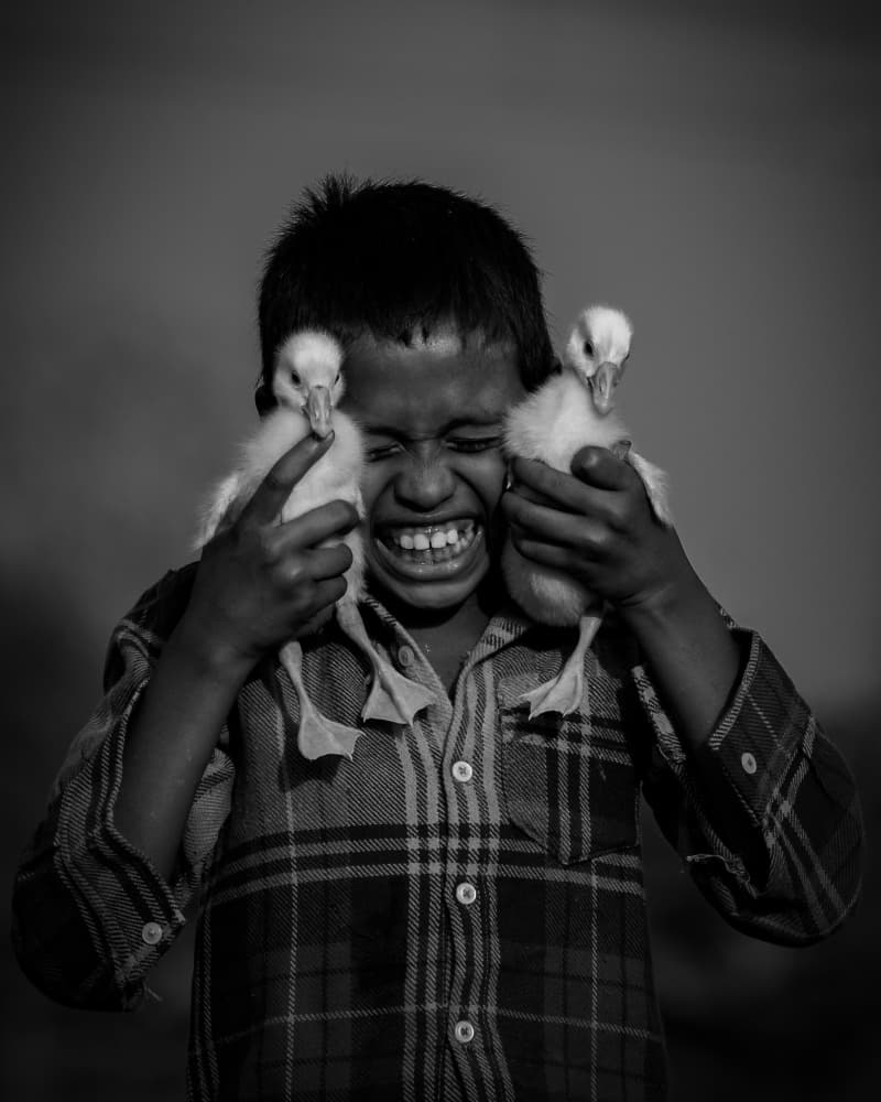 Happy Boy Ducklings by Kuntal Biswas — canvas wall art