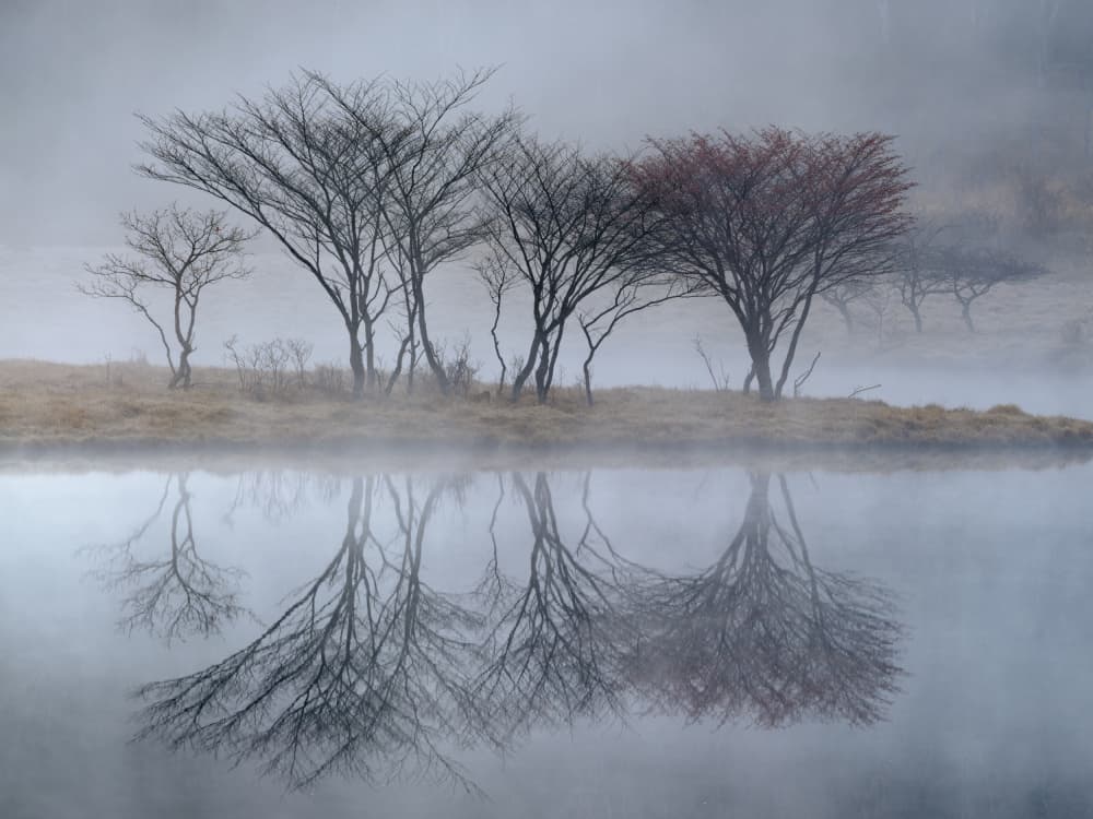 Misty Lake Reflections by K_Tsunoda — canvas wall art