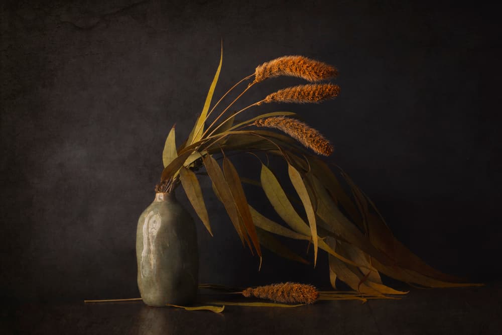 Dried Botanical Still Life by Cicek Kiral — canvas wall art