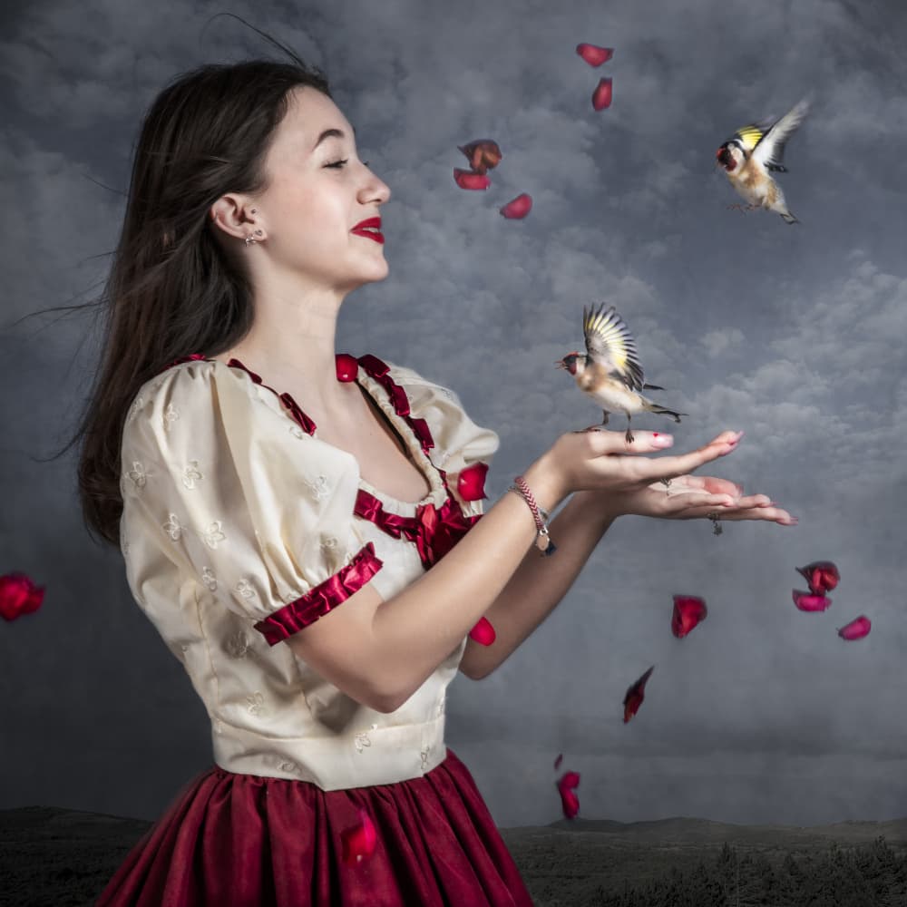 Girl with Flying Goldfinches by Martine Benezech — canvas wall art