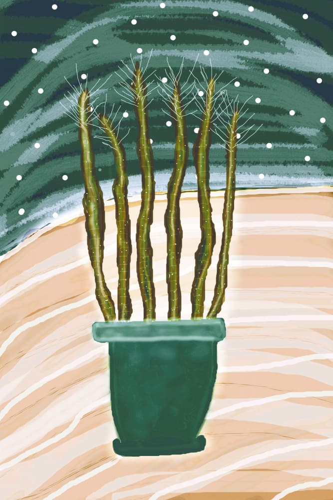Potted Green Stalks by Christina Sillen — canvas wall art