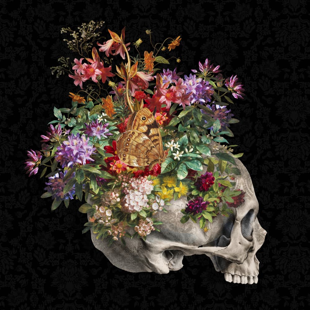Blooming Skull with Butterfly by Marja van den Hurk — canvas wall art