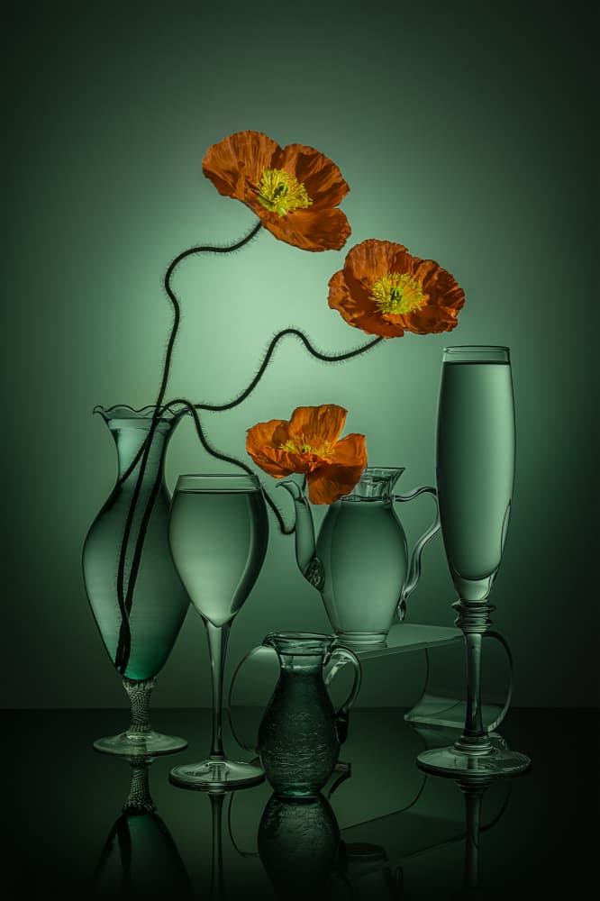 Vibrant Poppies Green Glass by Lydia Jacobs — canvas wall art