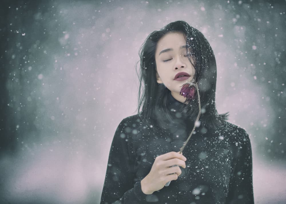 Pensive Winter Rose by Rob Li — canvas wall art