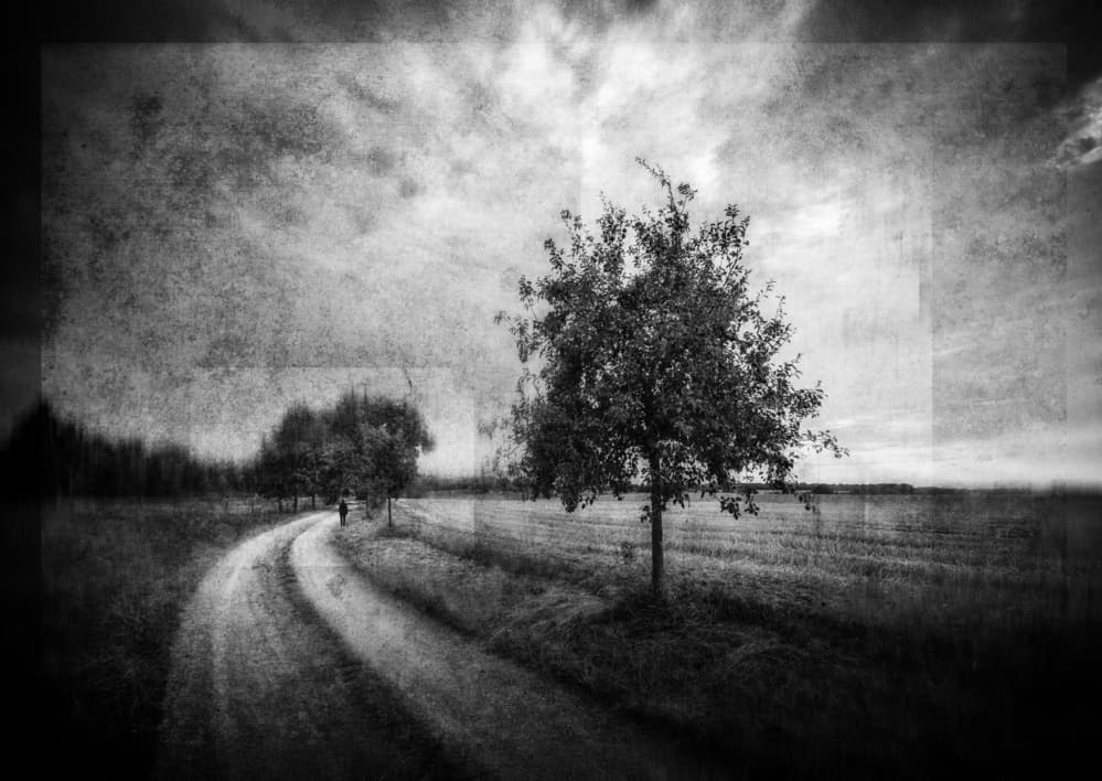 Lonely Road Lone Tree by Adam Dauria ☂ — canvas wall art