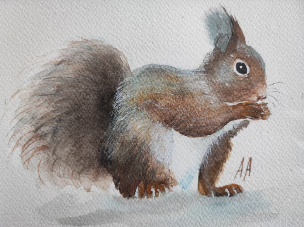 Charming Red Squirrel by Annette Armitage — canvas wall art