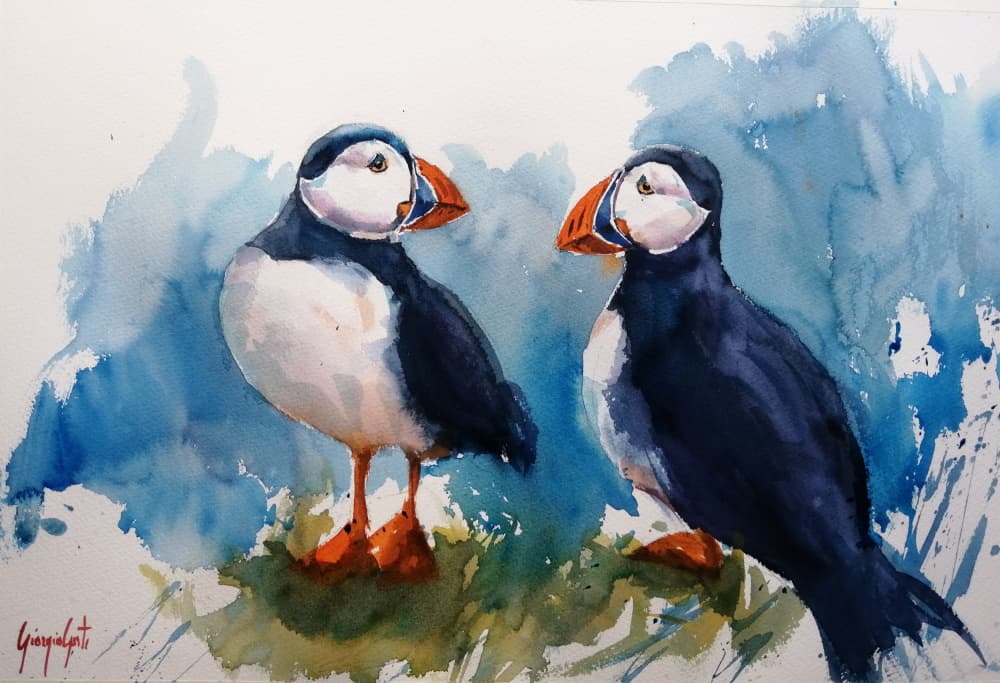 Colorful Puffin Pair by Giorgio Gosti — canvas wall art