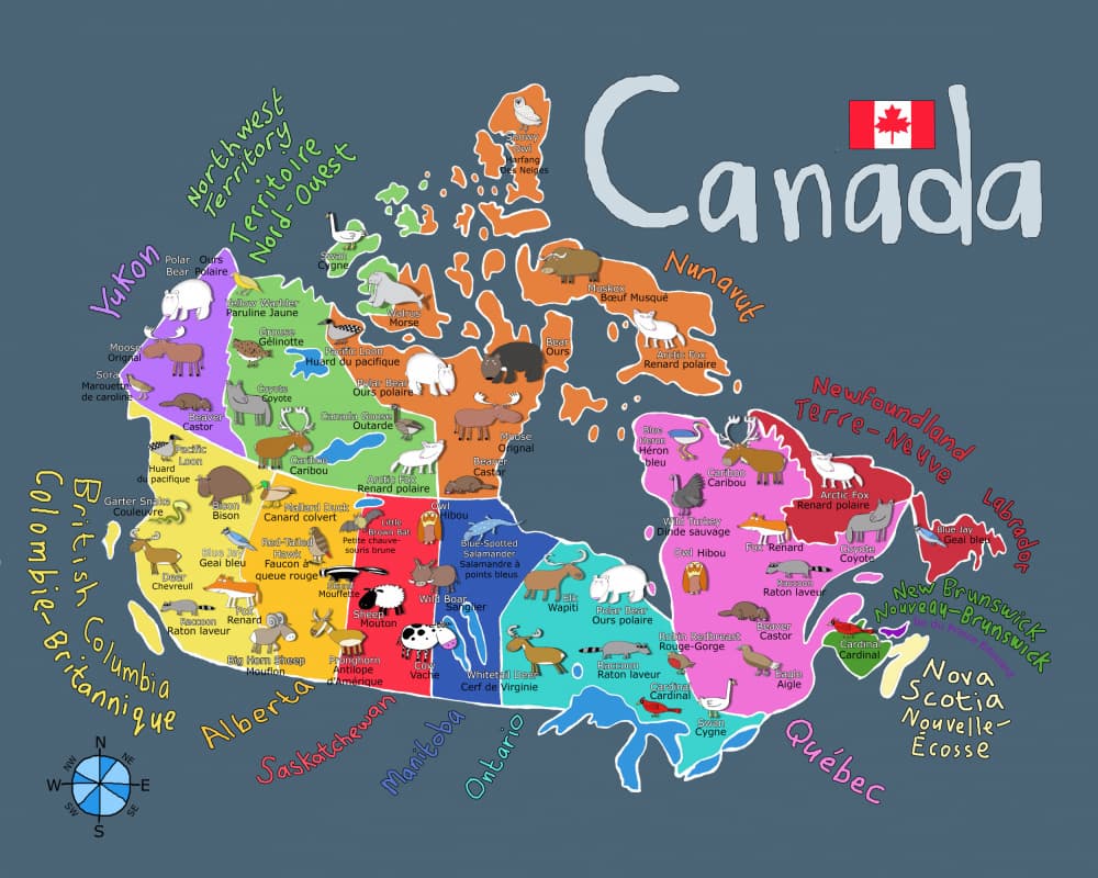 Canada Map Animals by Carla Daly — canvas wall art