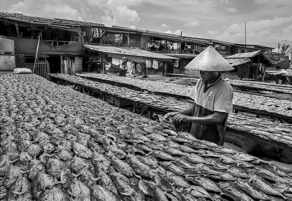 Traditional Fish Drying by Sebastian Kisworo — canvas wall art