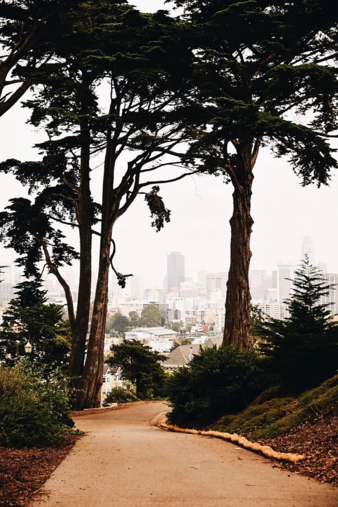 San Francisco Overlook by Del Mundo Imagery — canvas wall art
