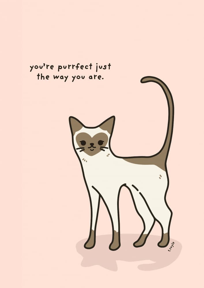 You're Purrfect Cat by Tara Royle — canvas wall art