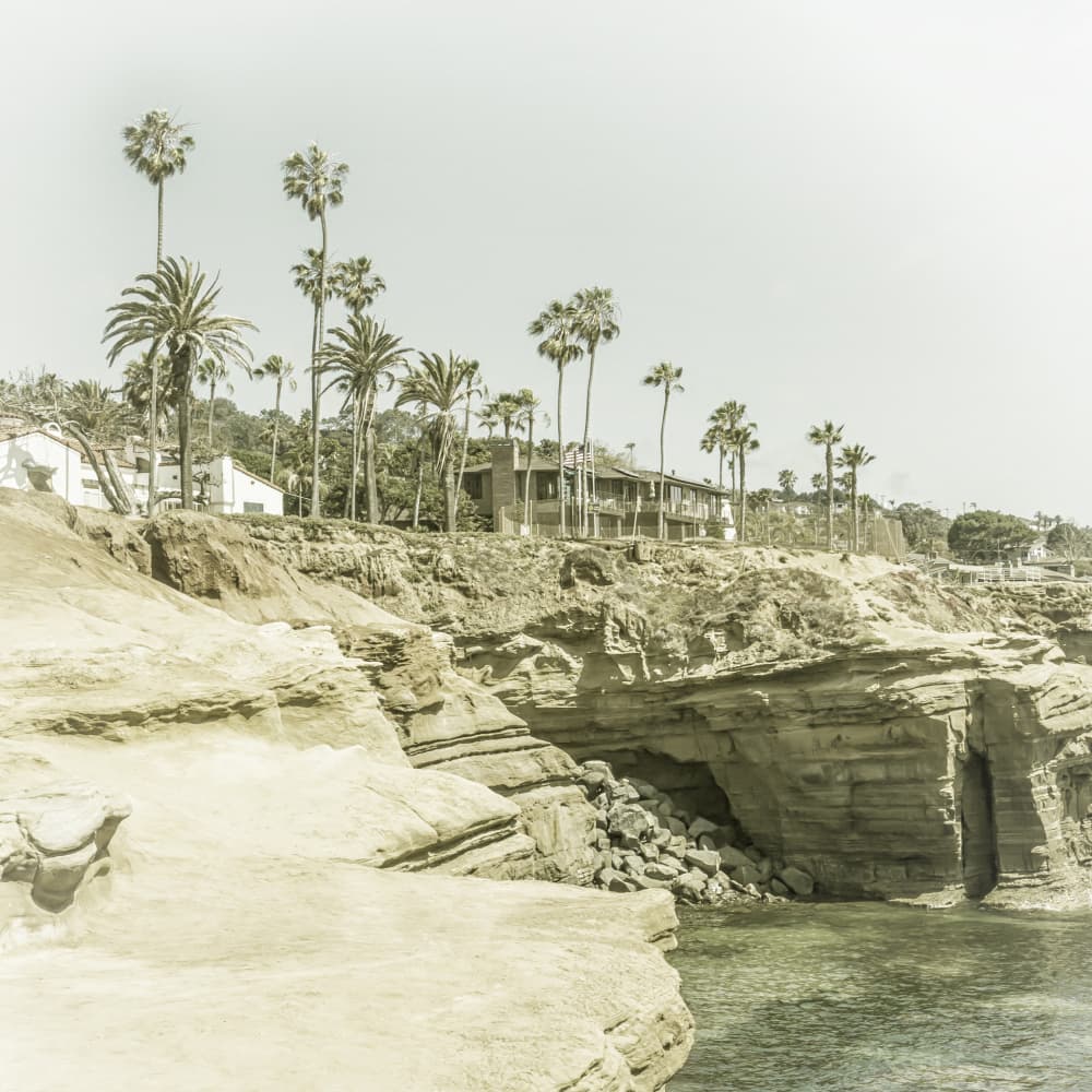 Oceanfront Palms Cliffs by Melanie Viola — canvas wall art