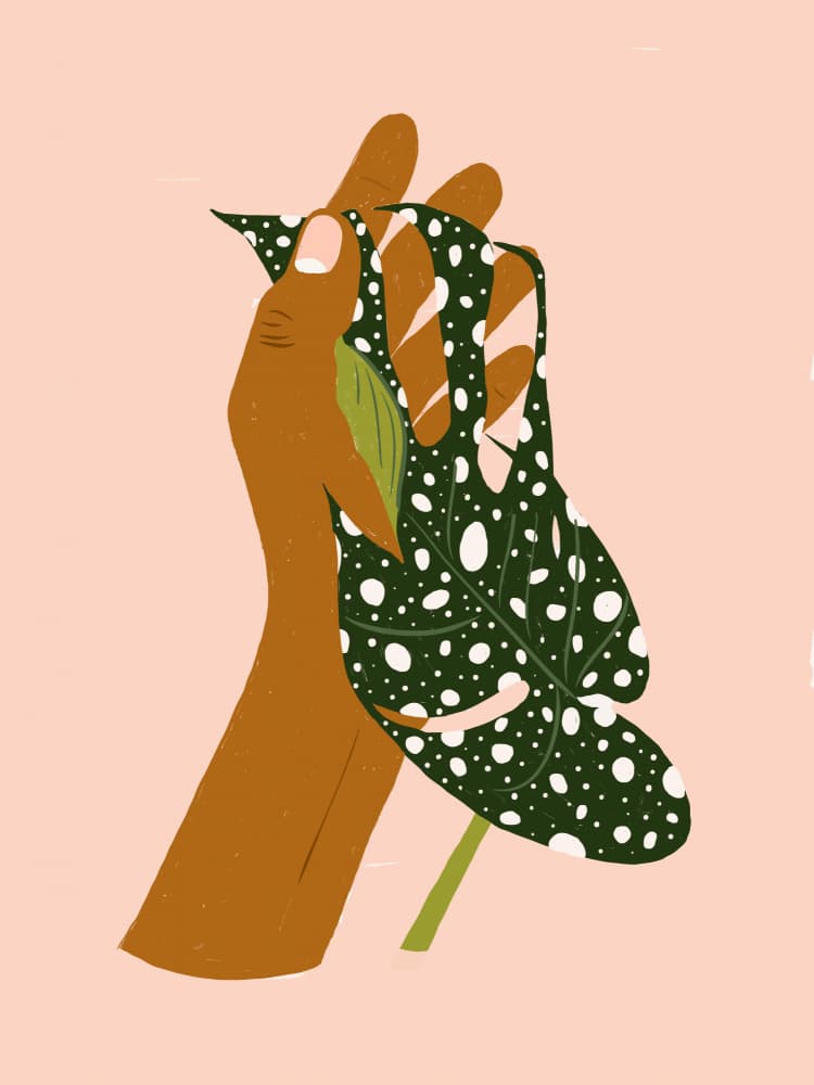 Hand Holding Spotted Leaf by Uma Gokhale — canvas wall art