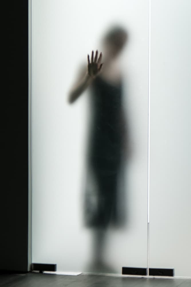 Mysterious Figure Behind Glass by Lus Joosten — canvas wall art