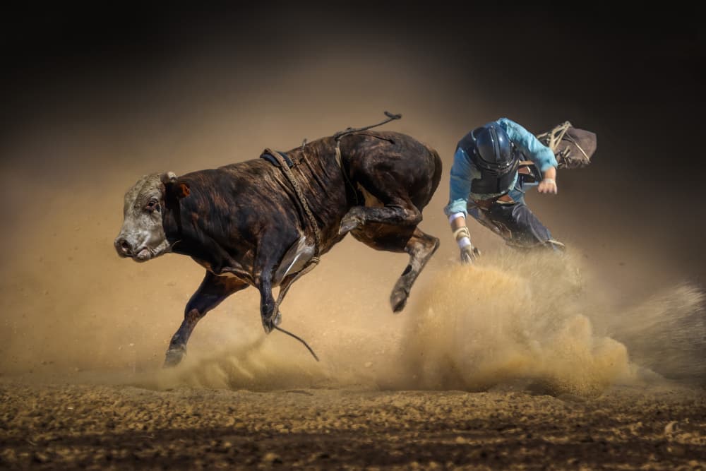 Dusty Rodeo Ride by Irene Wu — canvas wall art