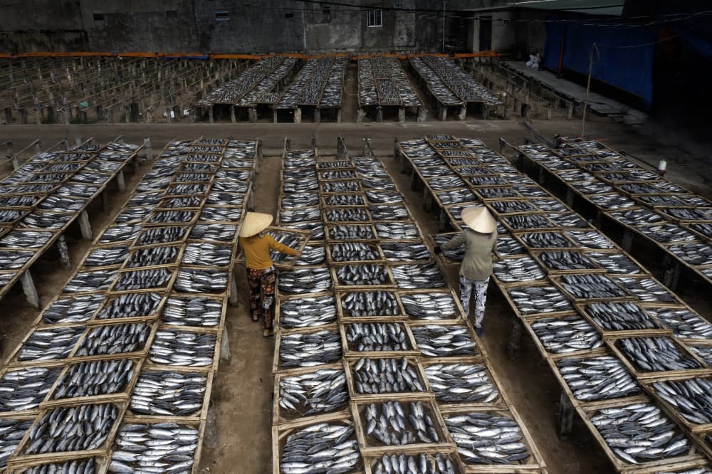 Traditional Fish Drying by Clas Gustafson PRO — canvas wall art