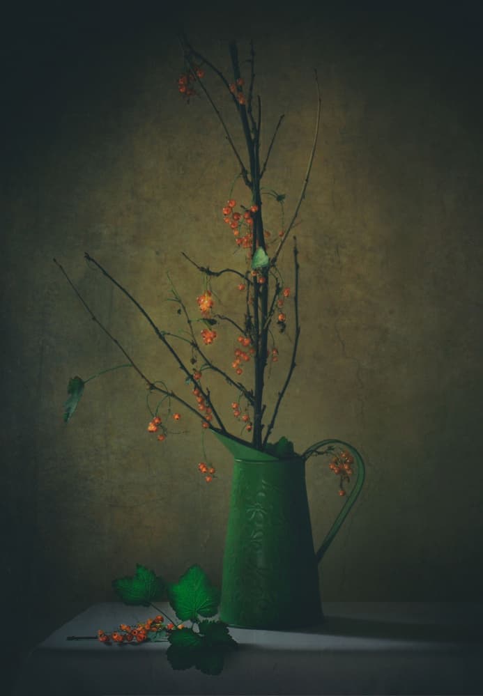 Dark Botanical Still Life by Delphine Devos — canvas wall art