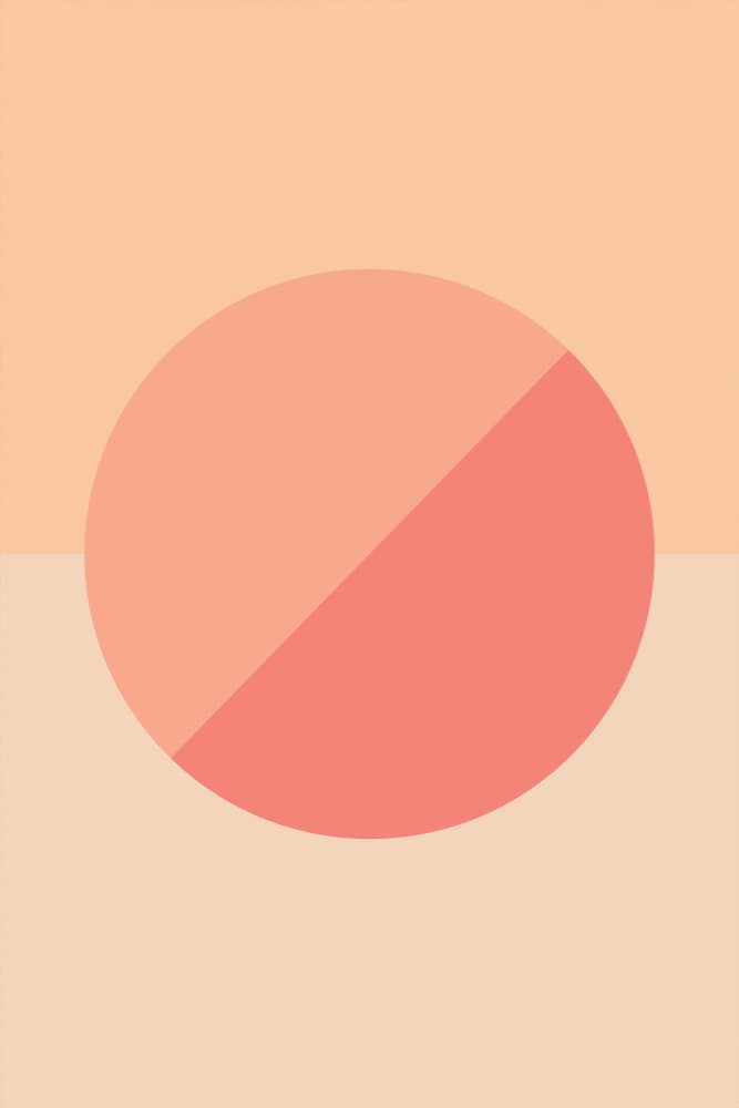 Peach Coral Split Circle by Pictufy Studio — canvas wall art