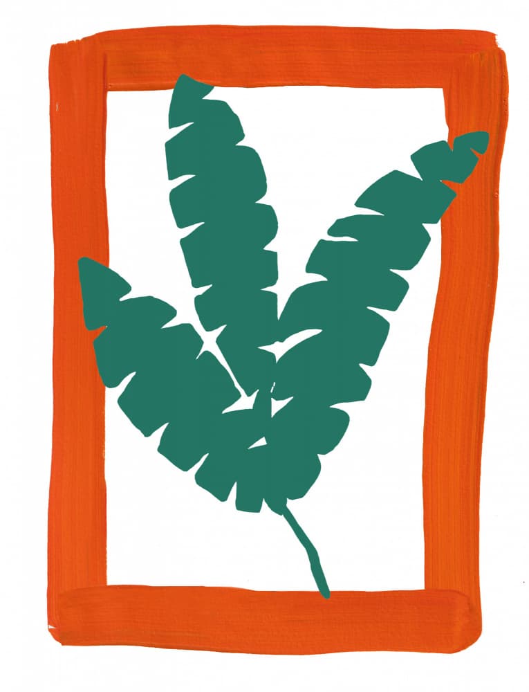 Orange Frame Tropical Leaves by Bronwyn Baker — canvas wall art