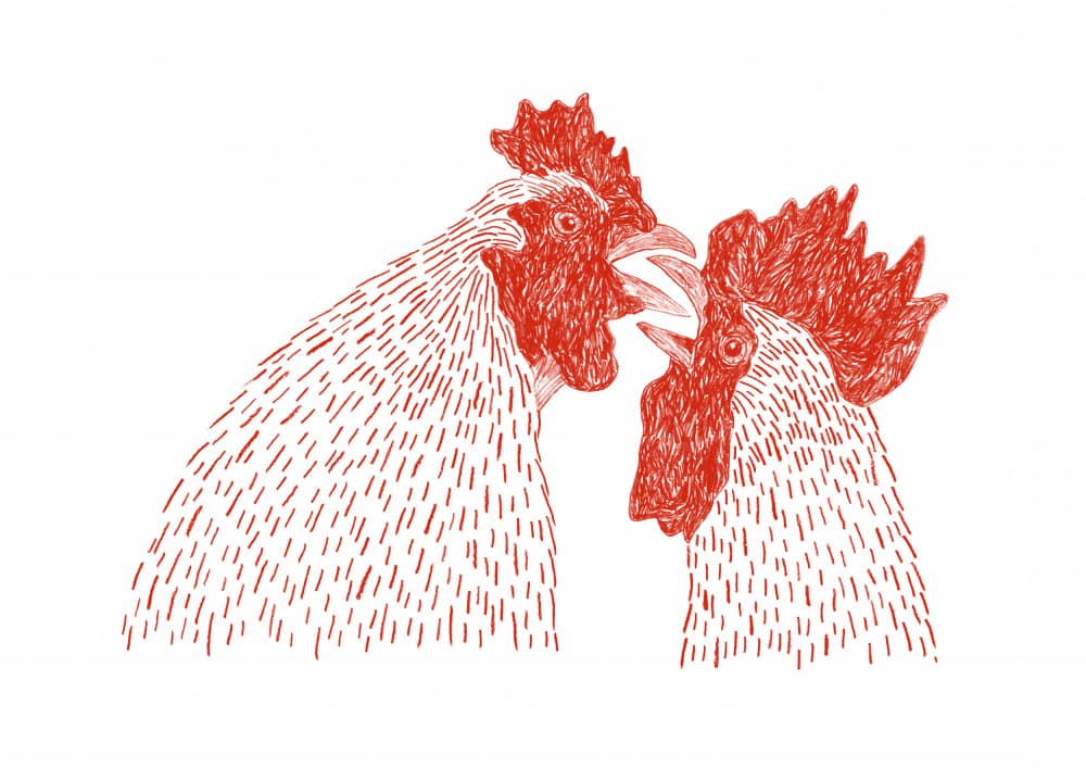 Fighting Roosters by Martina Scott — canvas wall art