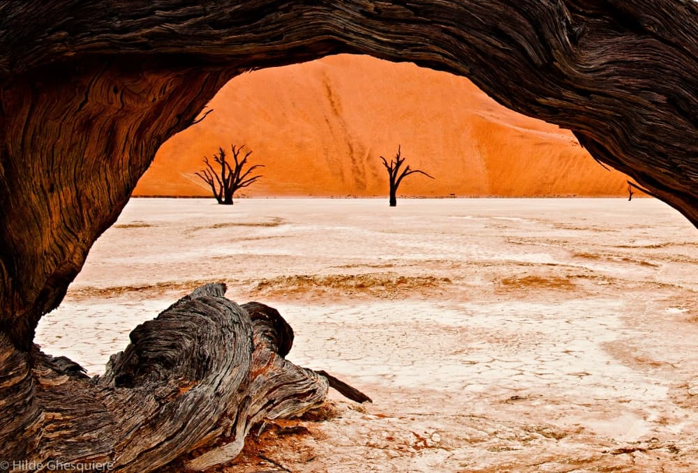 Stark Deadvlei Landscape by Hilde Ghesquiere — canvas wall art
