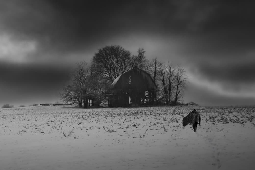 Winter Barn Lone Figure by Leah Xu — canvas wall art