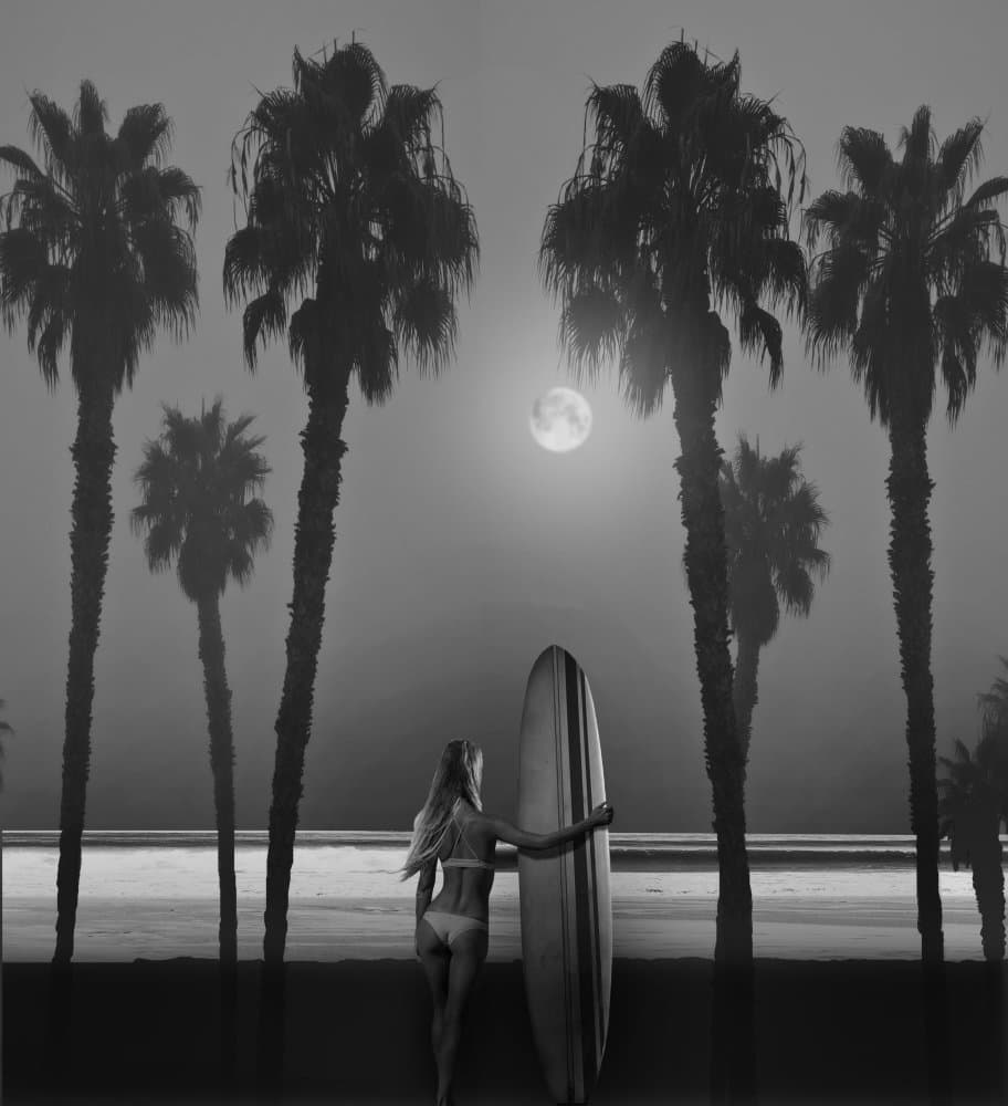 Moonlit Beach Surfer by LARRY BUTTERWORTH — canvas wall art